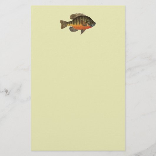 Bluegill Brei Briefpapier (Vorderseite)