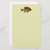 Bluegill Brei Briefpapier (Vorne/Hinten)