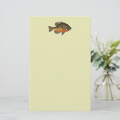 Bluegill Brei Briefpapier (Stehend Vorderseite)