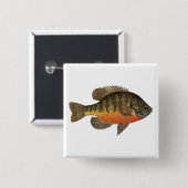 Bluegill Brei Button (Vorne & Hinten)