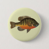 Bluegill Brei Button (Vorderseite)