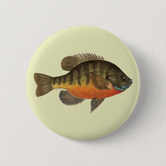 Bluegill Brei Button (Vorderseite)