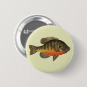 Bluegill Brei Button (Vorne & Hinten)