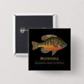 Bluegill-Brei-Fischerei Button (Vorne & Hinten)