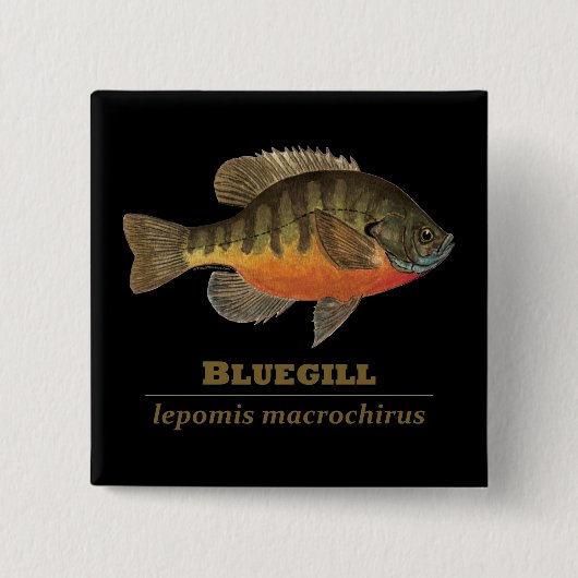 Bluegill-Brei-Fischerei Button (Vorderseite)