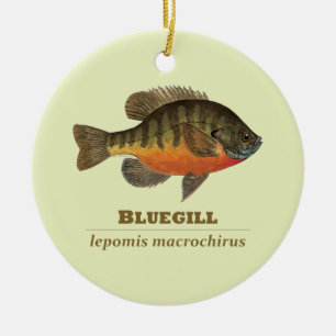 Bluegill-Brei-Fischerei Keramikornament