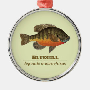 Bluegill-Brei-Fischerei Ornament Aus Metall