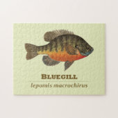 Bluegill-Brei-Fischerei Puzzle (Horizontal)