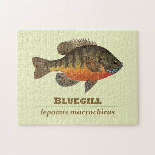 Bluegill-Brei-Fischerei Puzzle