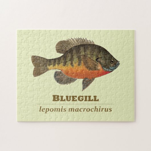 Bluegill-Brei-Fischerei Puzzle (Horizontal)