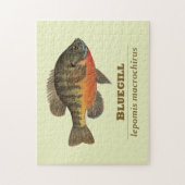 Bluegill-Brei-Fischerei Puzzle (Vertikal)