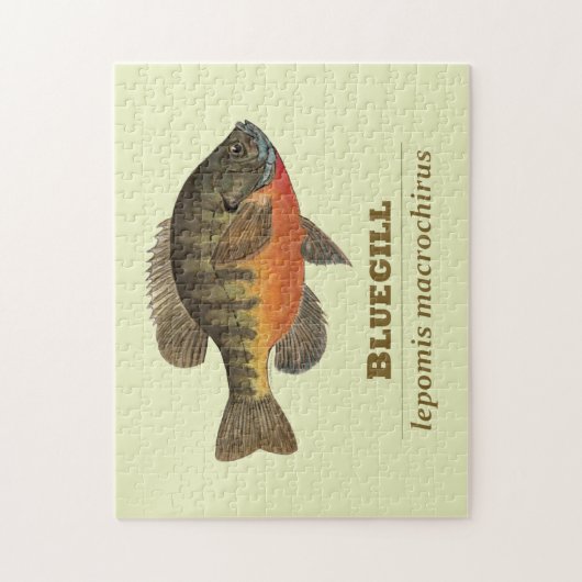 Bluegill-Brei-Fischerei Puzzle (Vertikal)