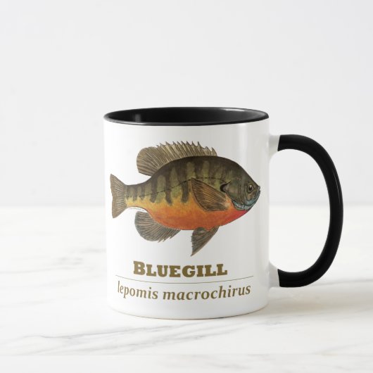 Bluegill-Brei-Fischerei Tasse (Rechts)