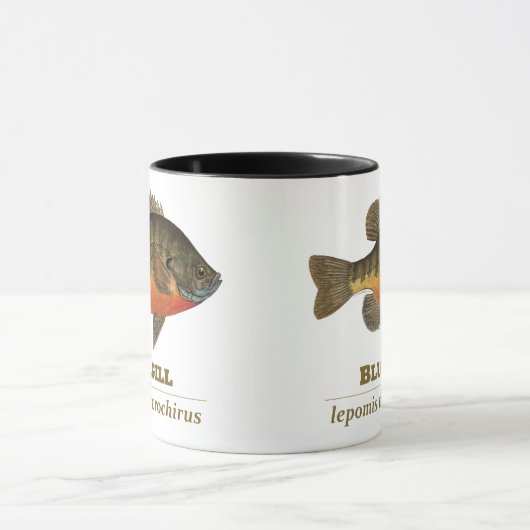Bluegill-Brei-Fischerei Tasse (Zentrum)