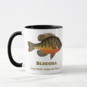 Bluegill-Brei-Fischerei Tasse (Links)