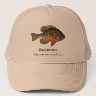 Bluegill-Brei-Fischerei Truckerkappe