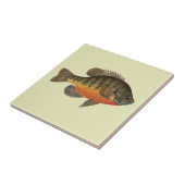 Bluegill Brei Fliese (Seite)