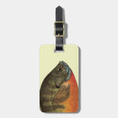 Bluegill Brei Gepäckanhänger (Vorderseite vertikal)