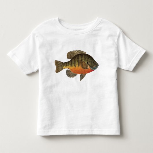 Bluegill Brei Kleinkind T-shirt (Vorderseite)