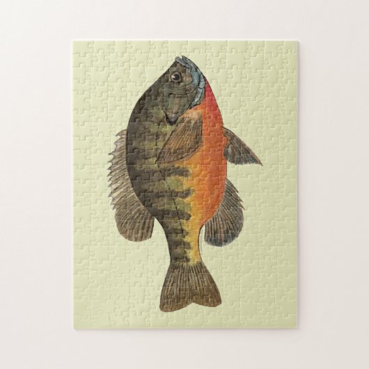 Bluegill Brei Puzzle (Vertikal)