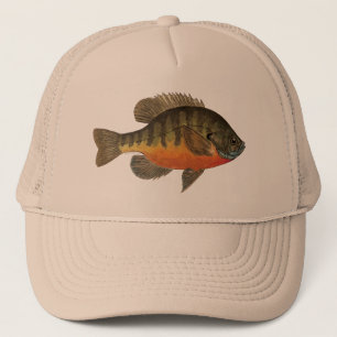 Bluegill Brei Truckerkappe