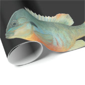 Bluegill Brim Bream Sunfish Perish Fishing Geschenkpapier (Rolleneckpunkt)