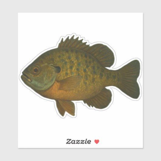 Bluegill Cut-out Sticker (Blatt)