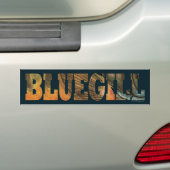 Bluegill Fischen Autoaufkleber (Auf Auto)