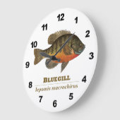 Bluegill Fishing Große Wanduhr (Winkel)