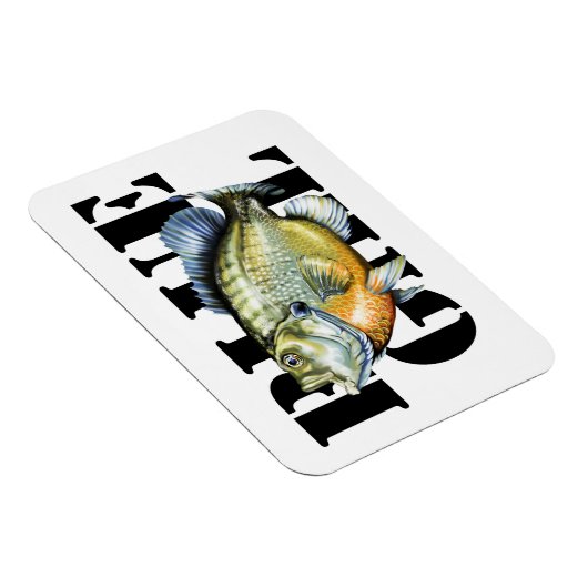 Bluegill Magnet (Rechte Seite)