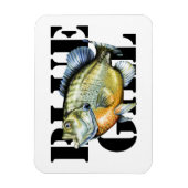 Bluegill Magnet (Vertikal)