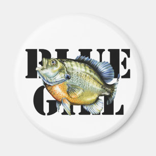 Bluegill Magnet