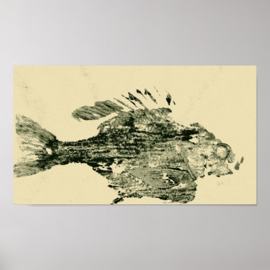 Bluegill Poster (Vorne)