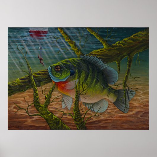 Bluegill Print Poster (Vorne)