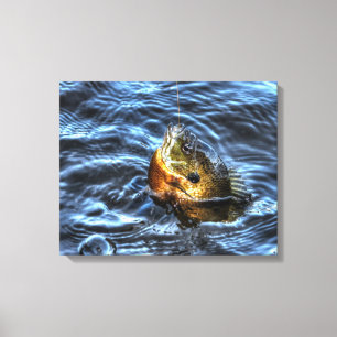 Bluegill Sunfish Fisherman's Outdoor Sports Art Leinwanddruck