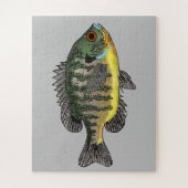 Bluegill Sunfish Puzzle (Vertikal)