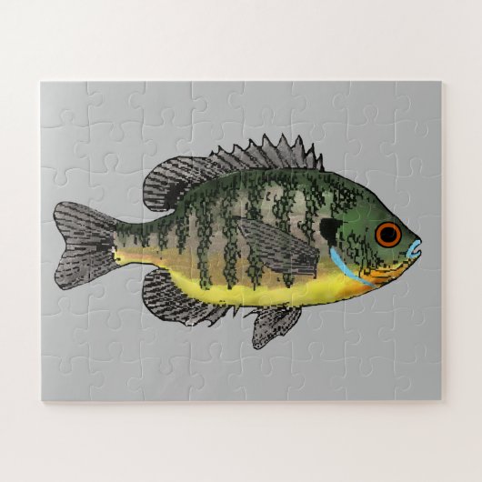 Bluegill Sunfish Puzzle (Horizontal)