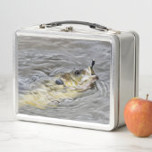 Bluegill übernimmt den Köder Metall Brotdose (Beispiel)