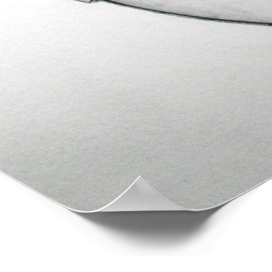 Bluegrass Banjo Poster (Ecke)