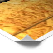 Bluegrass Instruments Poster (Ecke)