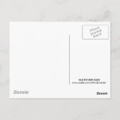 Bluegrass Music Postkarte (Rückseite)