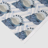 Bluegreen conch-Muscheln auf Zickzack bkgrnd Seidenpapier (Ausschnitt)