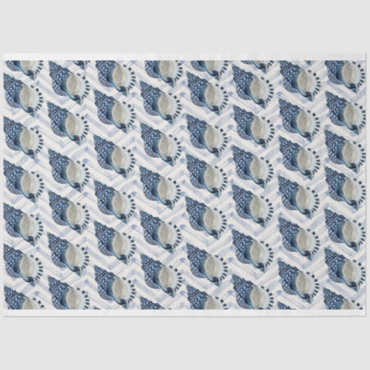 Bluegreen conch-Muscheln auf Zickzack bkgrnd Seidenpapier (Vorderseite)