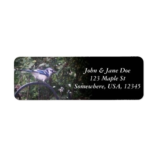 BlueJay 2 (Vorne)