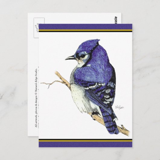 Bluejay 2 Postcard Postkarte (Vorne/Hinten)