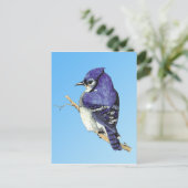 Bluejay 3 Postcard Postkarte (Stehend Vorderseite)