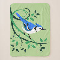 Bluejay an der Baumzweigung
