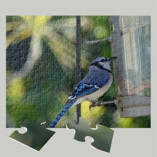 Bluejay auf Birdfeeder Puzzle