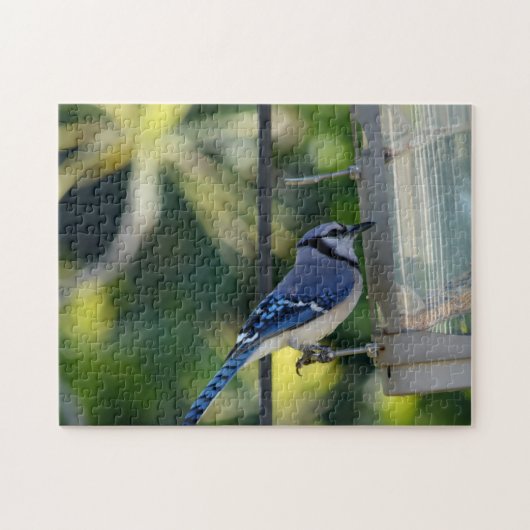 Bluejay auf Birdfeeder Puzzle (Horizontal)
