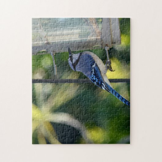 Bluejay auf Birdfeeder Puzzle (Vertikal)